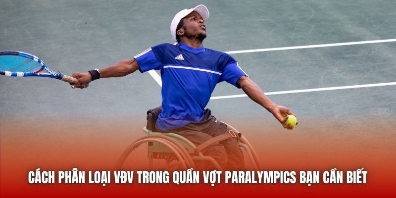 Cách phân loại VĐV trong quần vợt Paralympics bạn cần biết